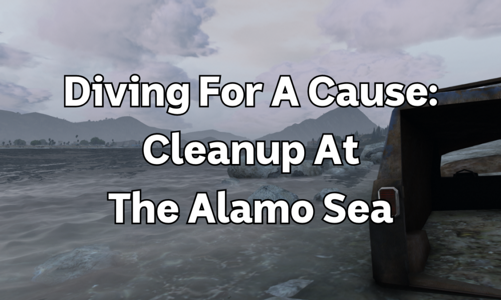 Diving For A Cause Tortuga’s Cleanup At The Alamo Sea Weazel News